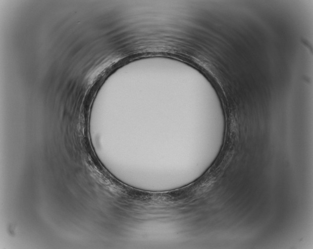 X0000100770979200807101747