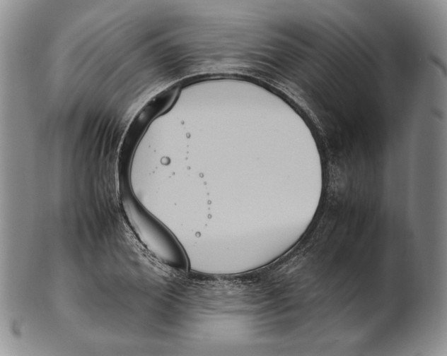 X0000100770980200807101747