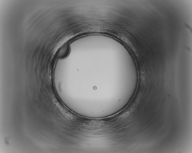 X0000100770981200807101747
