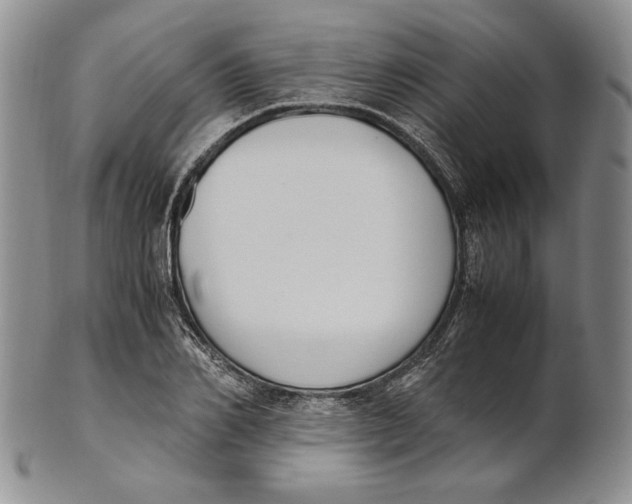 X0000100770982200807101747