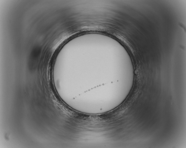 X0000100770983200807101747