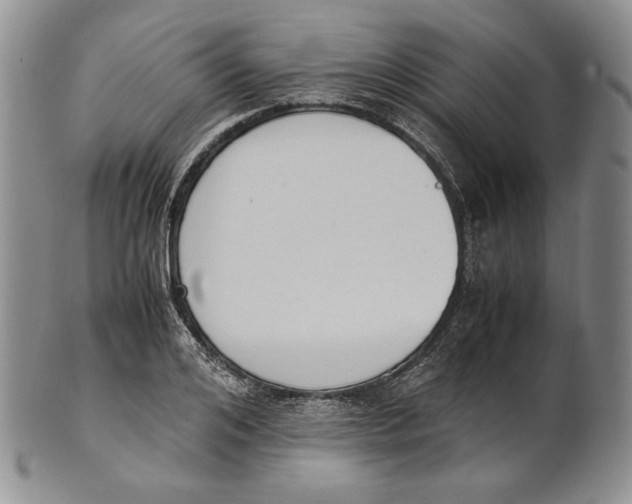 X0000100770984200807101747