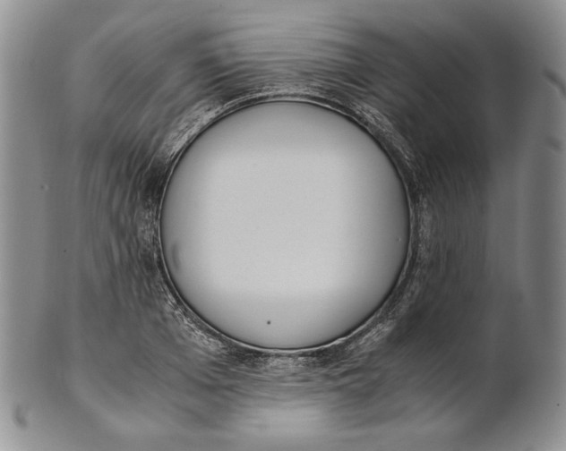 X0000100770985200807101747