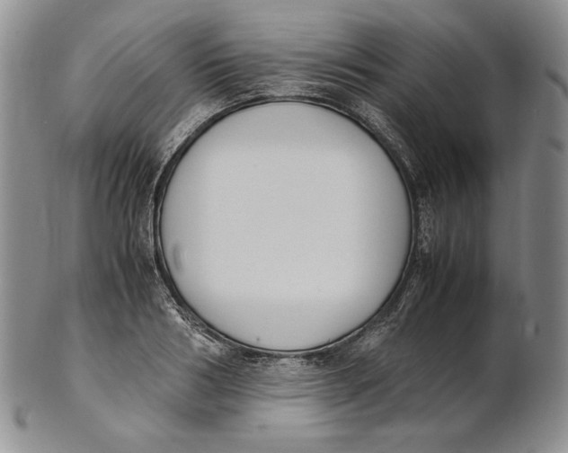 X0000100770986200807101747