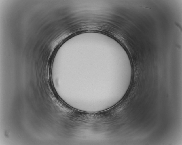 X0000100770987200807101747