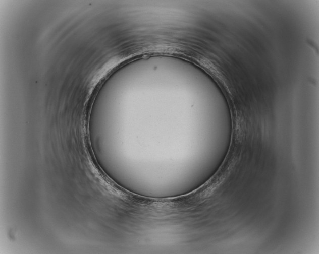 X0000100770989200807101747
