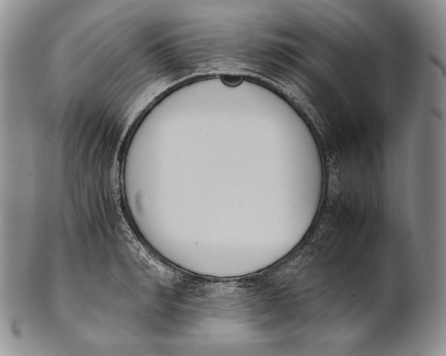 X0000100770990200807101747