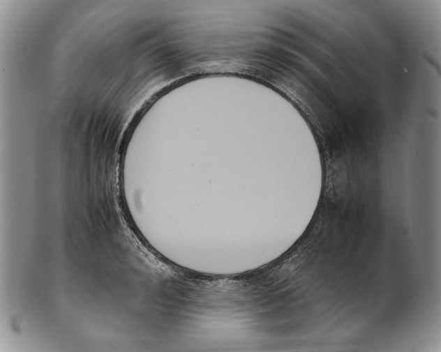 X0000100770992200807101747