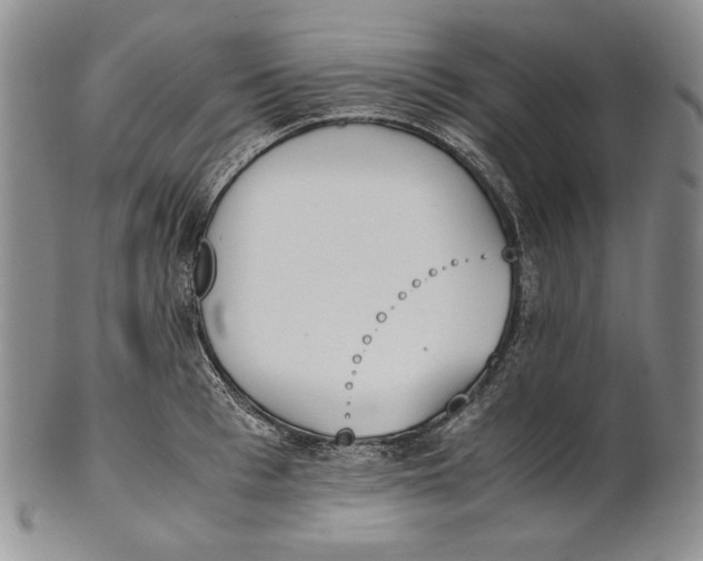 X0000100770993200807101747