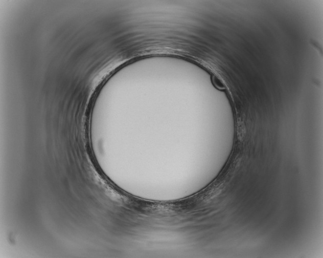 X0000100770995200807101747