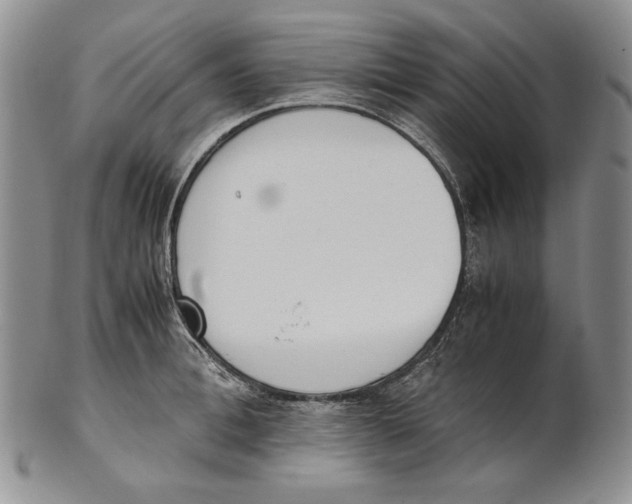X0000100770996200807101747