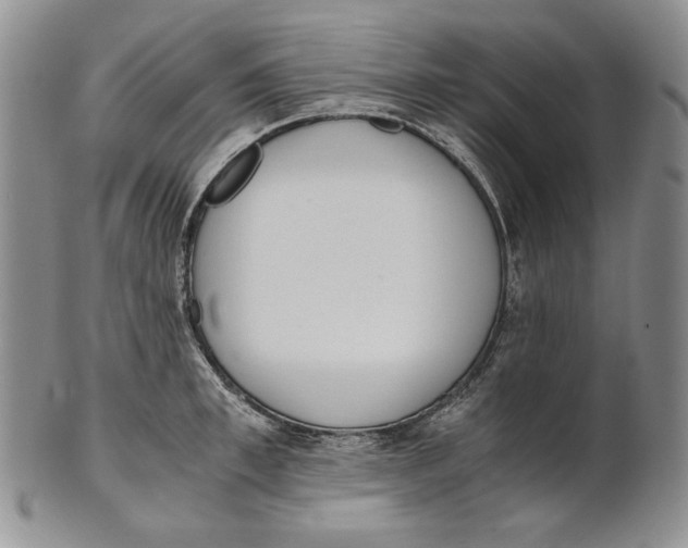 X0000100770997200807101747