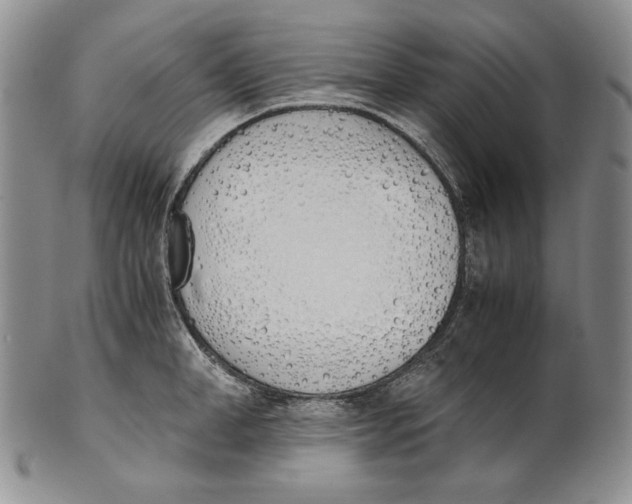 X0000100770998200807101747