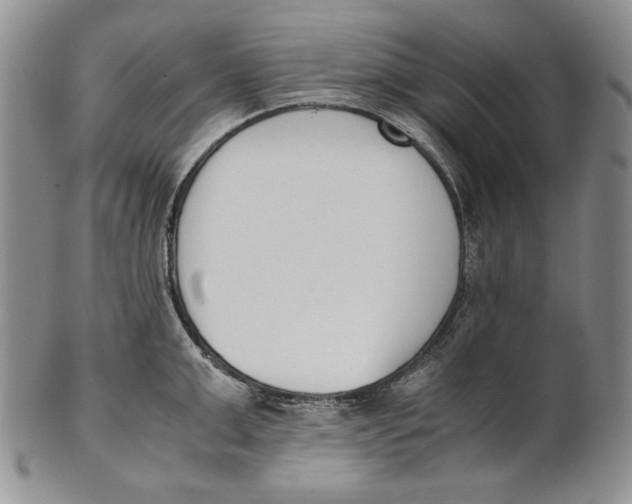 X0000100770999200807101747