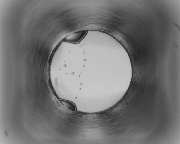 X0000100771000200807101747