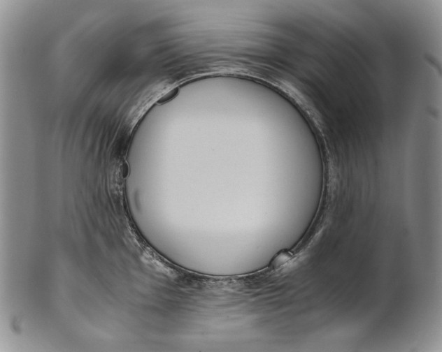 X0000100771001200807101747
