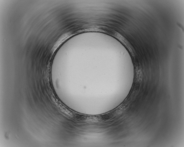X0000100771002200807101747