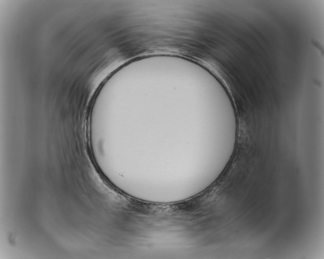X0000100771003200807101746