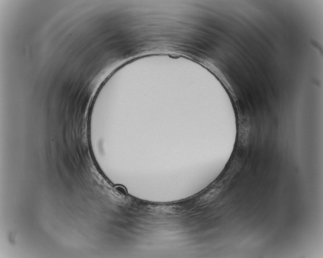 X0000100771004200807101746