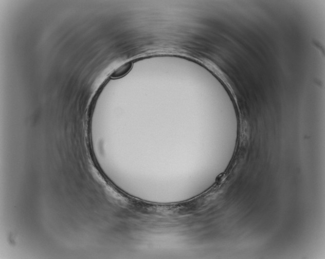 X0000100771005200807101746