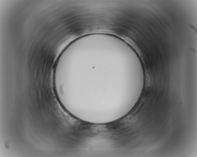 X0000100771006200807101746