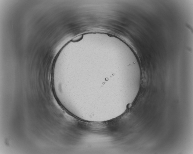 X0000100771007200807101746