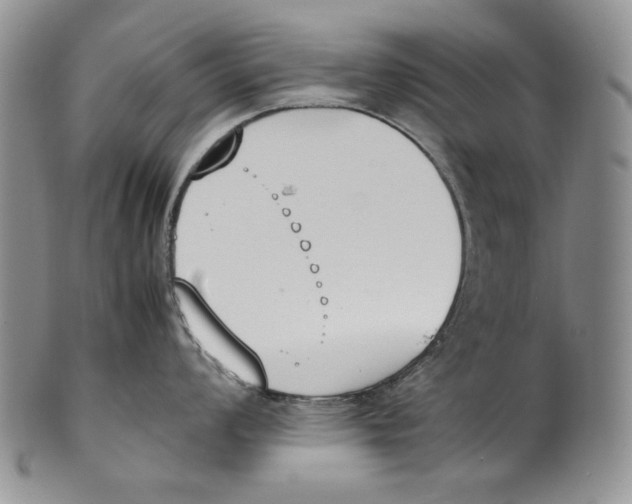 X0000100771008200807101746