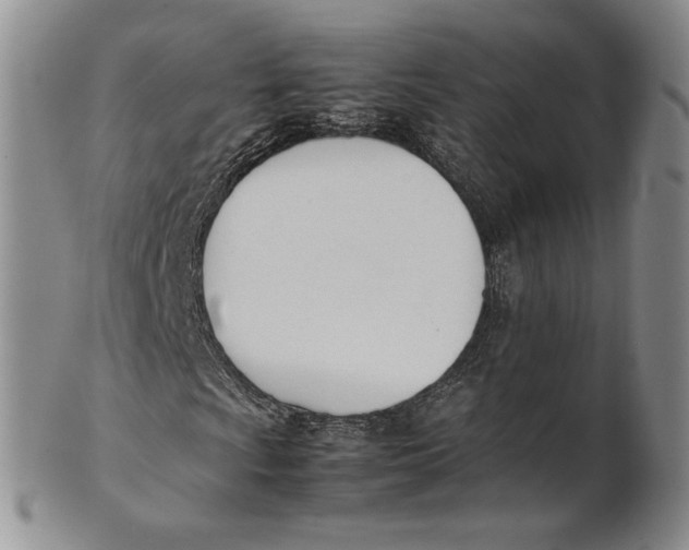X0000100771009200807101746