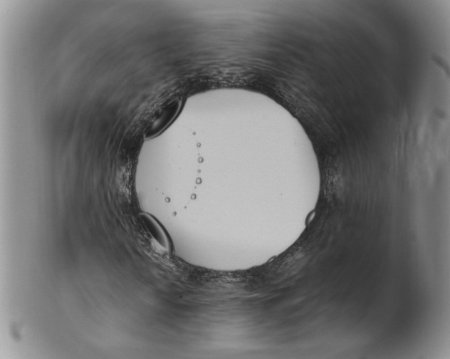 X0000100771010200807101746