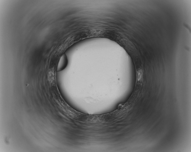 X0000100771011200807101746