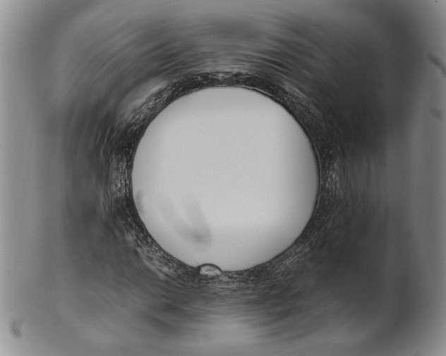 X0000100771014200807101746