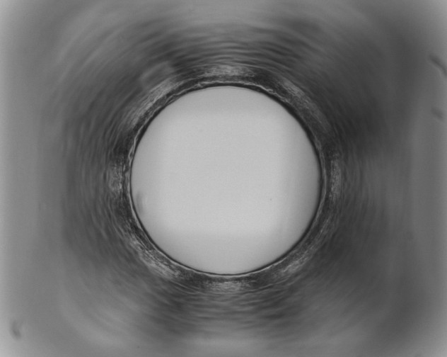 X0000100771017200807101746