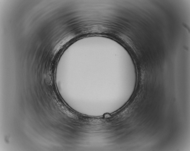 X0000100771018200807101746
