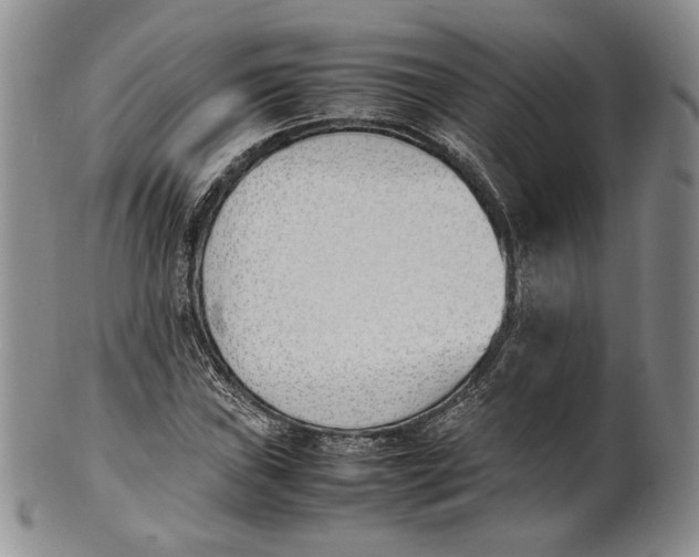 X0000100771019200807101746