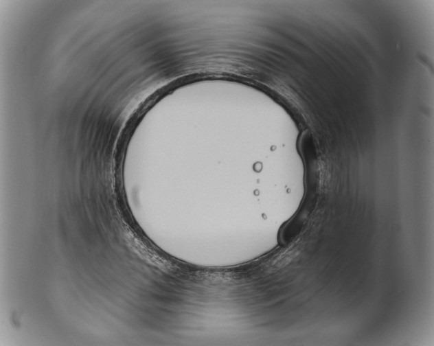X0000100771020200807101746
