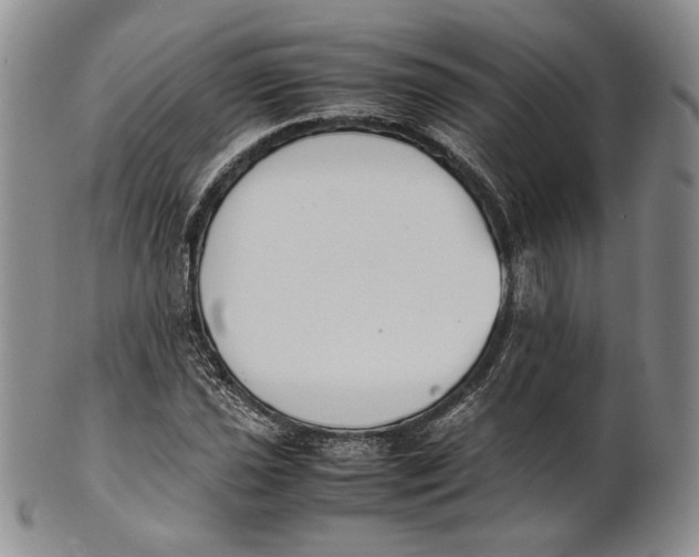 X0000100771021200807101746