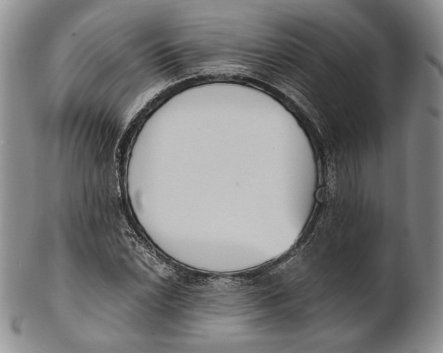X0000100771022200807101746