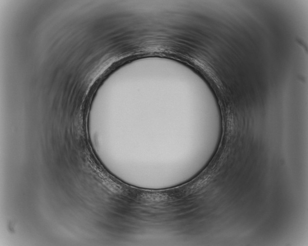 X0000100771023200807101746