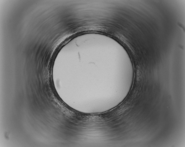 X0000100771024200807101746
