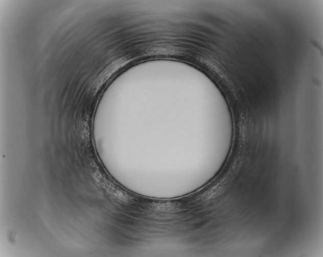 X0000100771025200807101746