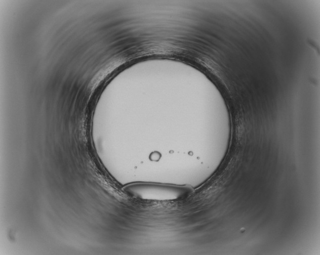 X0000100771026200807101746