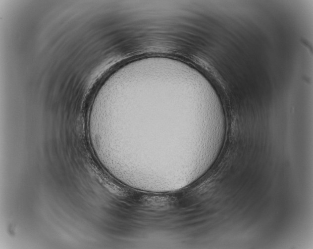 X0000100771027200807101746