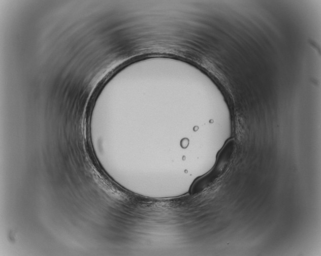 X0000100771028200807101746