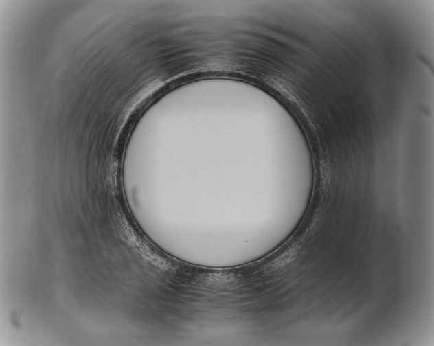 X0000100771029200807101746