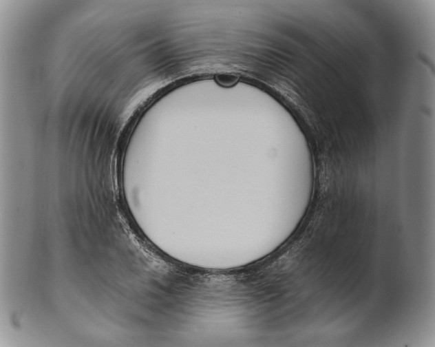 X0000100771030200807101746