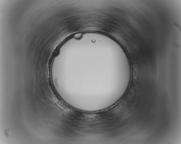 X0000100771031200807101746