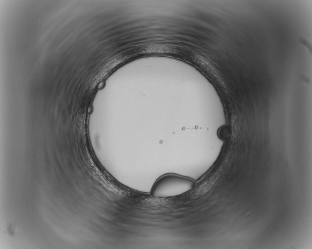 X0000100771033200807101746