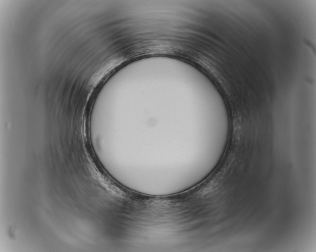 X0000100771034200807101746