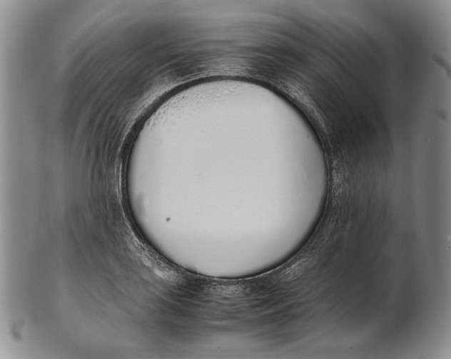 X0000100771035200807101746