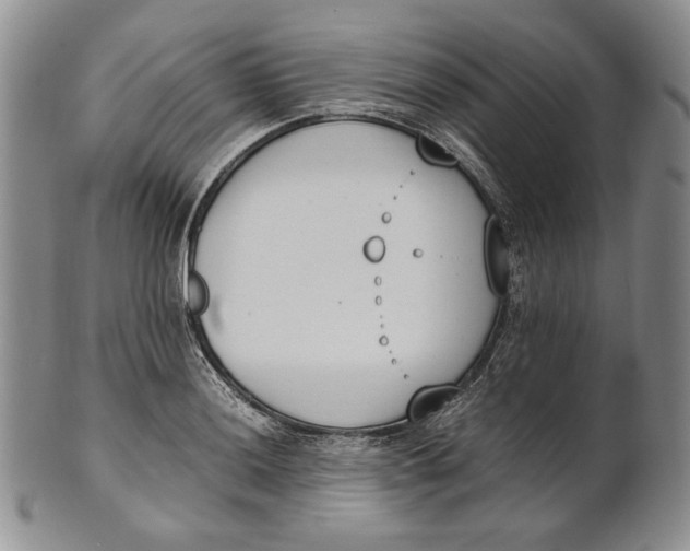 X0000100771036200807101746